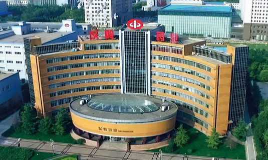 祝（zhù）賀顆粒物過濾效率儀中標石家莊以嶺藥業！